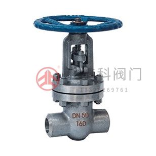 Z61H、Z61Y、Z61W 型 PN100~PN160 承插焊楔式閘閥