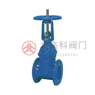 Z45X-10、Z45X-16 彈性座封閘閥